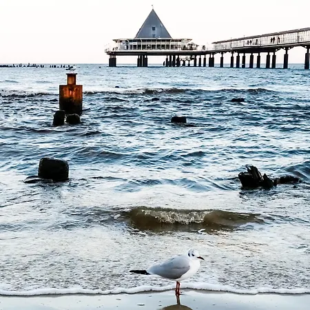 Meeressterne Residenz In 3*